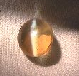 Chrysoberyl Cat's Eye